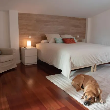 Casa Markaida Vizcaya מונגיה